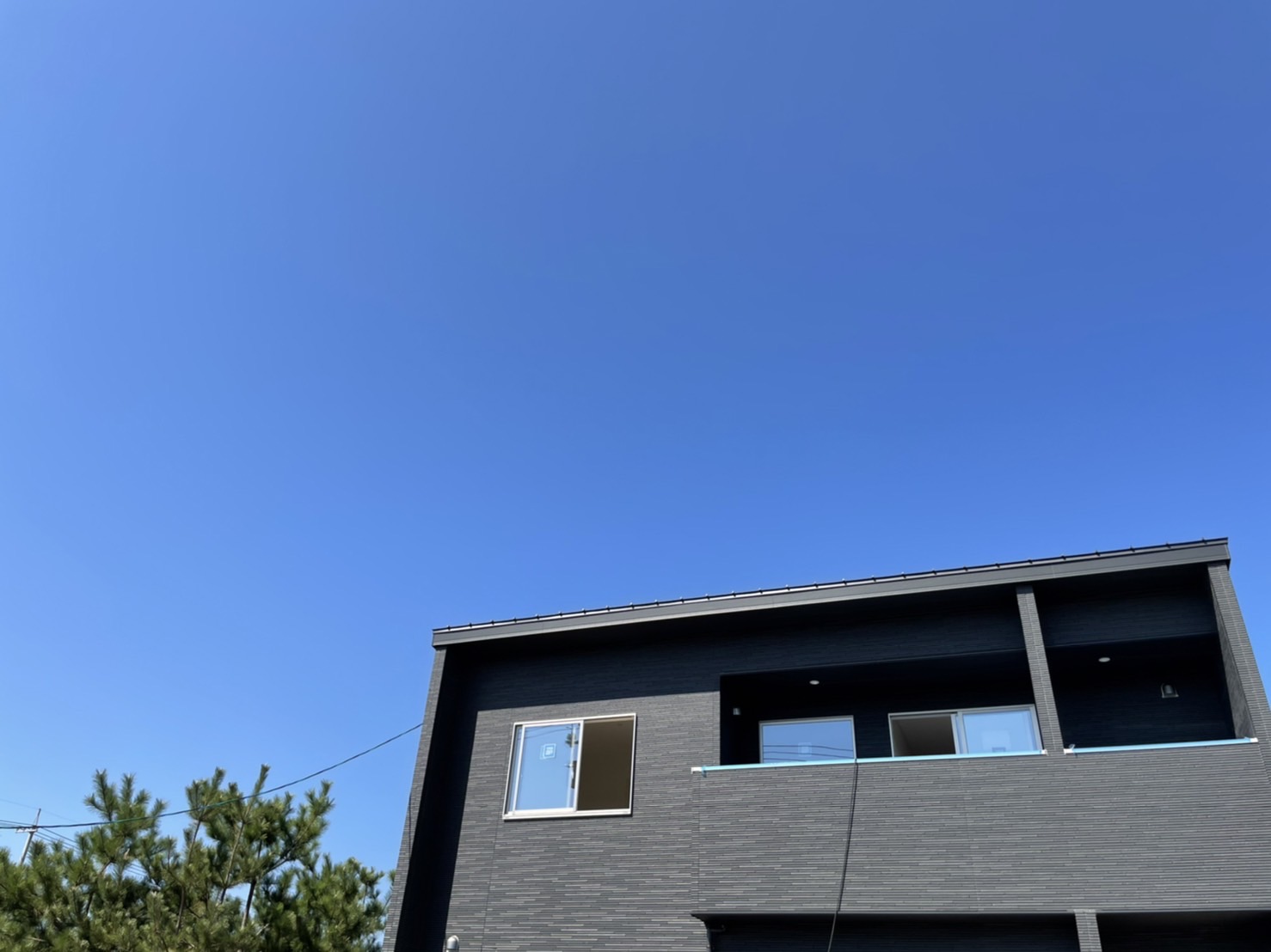 いいお天気が続きますね